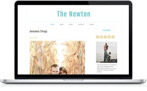 The Newton