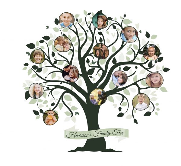 family history family tree, fan chart, genealogy reunion , wall art ...