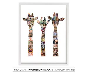 3 giraffe heads photo collage