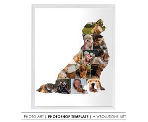 Golden Retriever Dog photo collage