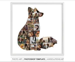 Fox photo collage