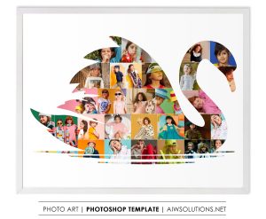 Swan photo collage, Bird photo collage