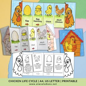 Chicken life cycle activity, Animal foldable activity, Chicken science activity,  kids activity, homeschool activity, Chicken printable