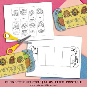 dung beetle life cycle, animal life cycle printable, early science activity, insect foldable craft