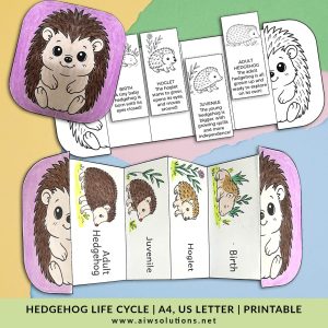 life cycle of a hedgehog, mammal life cycle, animal life cycle, preschool science, hedgehog worksheet, sequencing activity, STEM activity