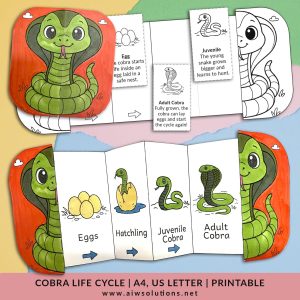 Life cycle of a cobra snake foldable sequencing activity,snake life cycle for kids, reptile life cycle activity,cobra foldable craft
