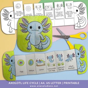 Axolotl Life Cycle Activity | Cut, Fold & Learn Science Printable, Axolotl  life cycle worksheet, axolotl craft