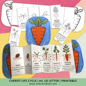 carrot life cycle for kids, carrot science activity, plant life cycle printable, preschool carrot activity, growing carrots for kids