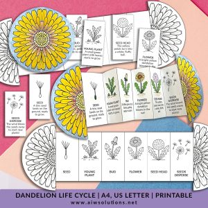 Life Cycle of a Dandelion – Foldable Sequencing Activity Craft for Kids, preschool  activity, kindergarten science printable
