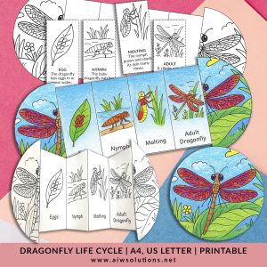 dragonfly life cycle, life cycle of a dragonfly, dragonfly sequencing activity, printable dragonfly worksheet, dragonfly cut and paste, dragonfly foldable craft