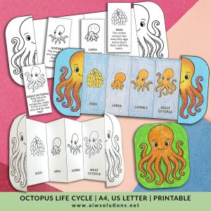 Life Cycle of an Octopus – Foldable Sequencing Activity Craft, preschool octopus activity, kindergarten science printable, octopus science worksheet