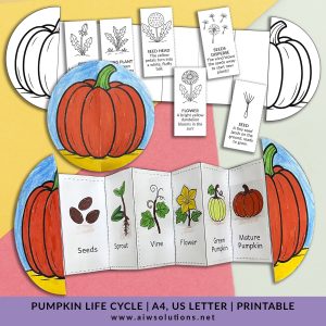 Life Cycle of a Pumpkin – Foldable Sequencing Activity Craft, Pumpkin cut and paste,pumpkin coloring page, preschool pumpkin activity