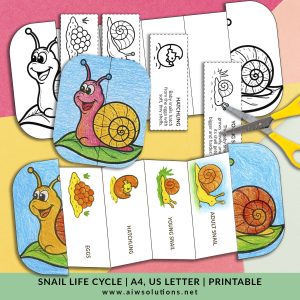 Snail Life Cycle, snail sequencing activity, science printables for preschool, animal life cycle printables, STEM crafts for kids